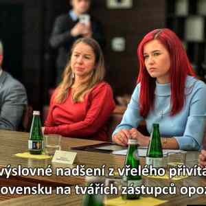 Obrázek 'date si citron - kdyz vas nepozvali'