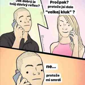Obrázek 'davivy reflex'