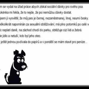 Obrázek 'davky pro psa'