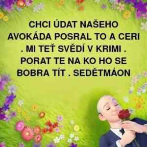 Obrázek 'dcery so nevinne pomocte'