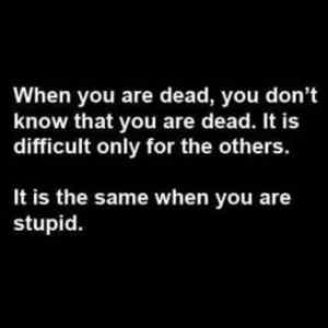 Obrázek 'dead stupid'