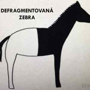Obrázek 'defrag zebra'