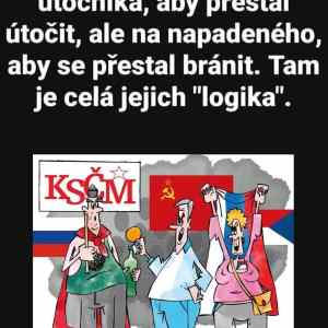 Obrázek 'demonstrace chcimir'