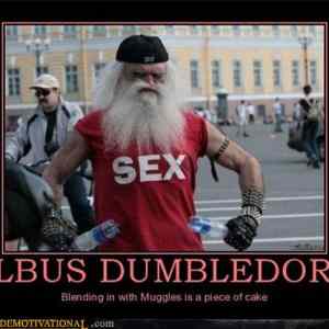 Obrázek 'demotivational-posters-albus-dumbledore'