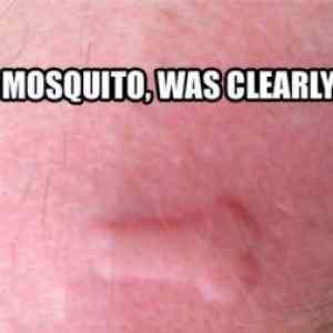 Obrázek 'dick mosquito'