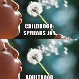 Obrázek 'difference between childhood and adulthood'