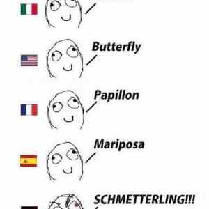 Obrázek 'different-languages'