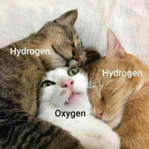 Obrázek 'dihydrogen monoxid'