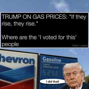 Obrázek 'diky&nbsp;donnie'