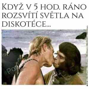 Obrázek 'diskorano'