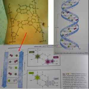 Obrázek 'divne tetovanie vysvetlenie - molekula DNA'