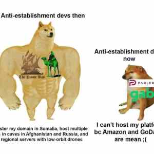 Obrázek 'dneska jsou to fnukny ty antiestablishment devs'