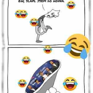 Obrázek 'do hovna'