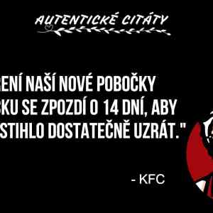 Obrázek 'do kazde rodiny maso co je v teple hodiny'