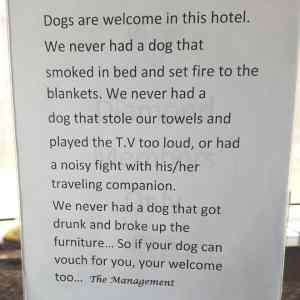 Obrázek 'dog-friendly-hotel'