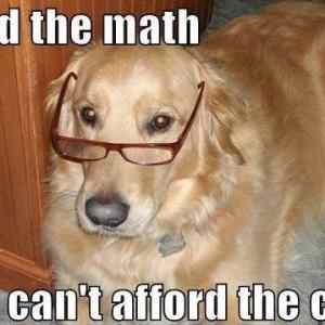 Obrázek 'dog did the math'