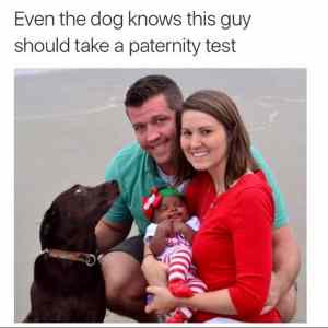 Obrázek 'dog paternity'