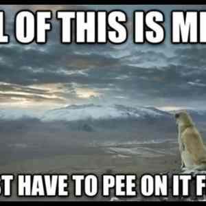 Obrázek 'dog&nbsp;s&nbsp;logic&nbsp;540'