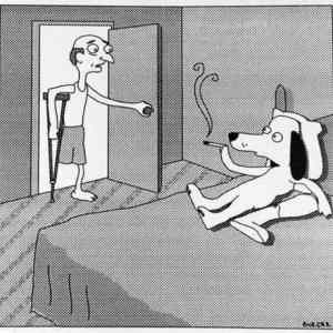 Obrázek 'doggie adultery'