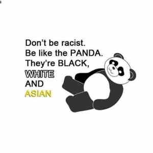 Obrázek 'dont be racist'