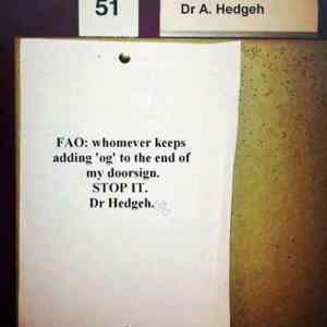 Obrázek 'dr hedgeh'