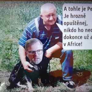 Obrázek 'drazba psika'