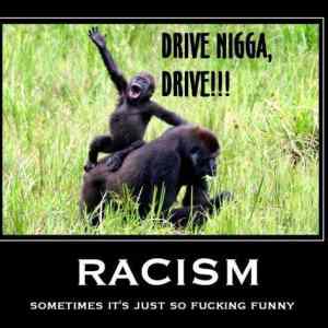 Obrázek 'drive nigga drive'