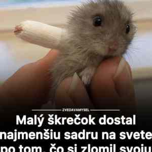 Obrázek 'drobnej&nbsp;nacek'