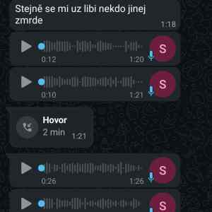 Obrázek 'drsnej dozchod v praze 21 stoleti'