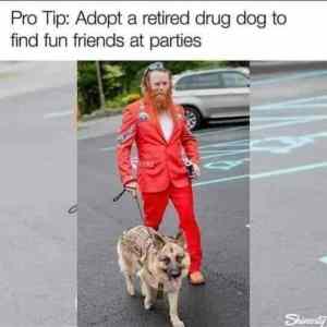 Obrázek 'drug dog tip'