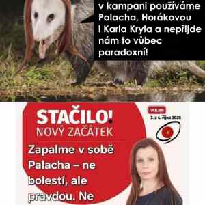 Obrázek 'dualita komousu'