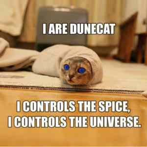 Obrázek 'dune-cat'