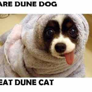 Obrázek 'dune-dog'