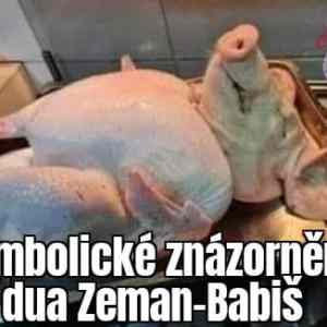 Obrázek 'duo zembabis'