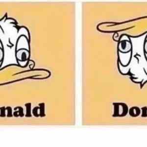 Obrázek 'dva&nbsp;donaldi'