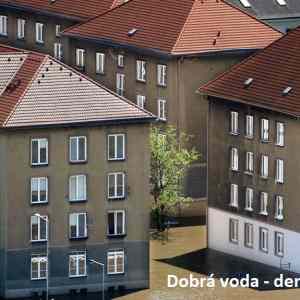 Obrázek 'dvdm'