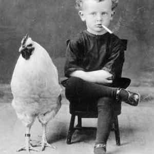 Obrázek 'dve&nbsp;kurata'