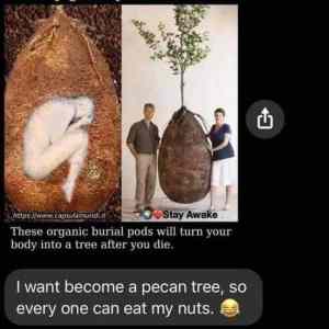 Obrázek 'eat my nuts'