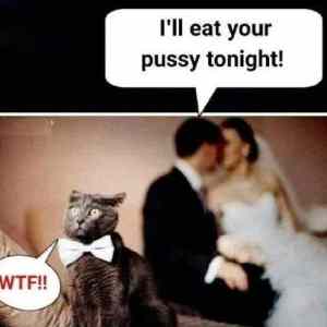 Obrázek 'eat your pussy'