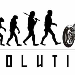 Obrázek 'edit evolution'
