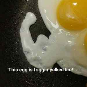 Obrázek 'egg-friggin'