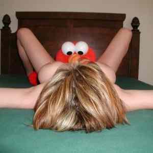 Obrázek 'elmo is not gay'
