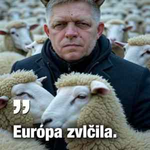 Obrázek 'europa zvlcila'