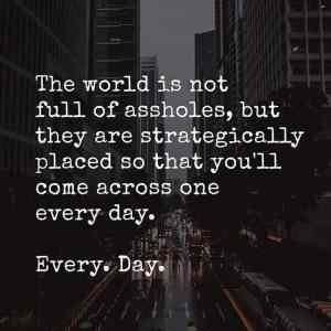 Obrázek 'every day - every day'