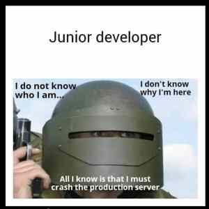 Obrázek 'every junior dev'