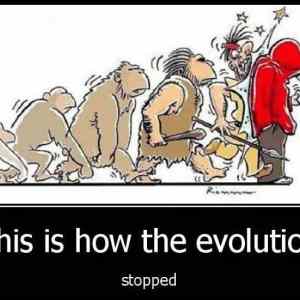 Obrázek 'evolution-stopped'