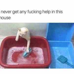 Obrázek 'f&nbsp;ukin&nbsp;help'