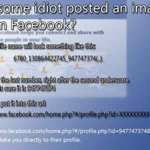 Obrázek 'facebook idiots'