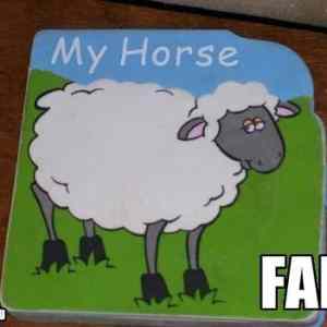 Obrázek 'fail-owned-book-my-horse-fail'