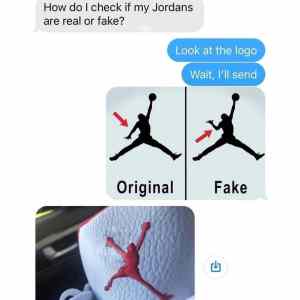 Obrázek 'fake or fake'